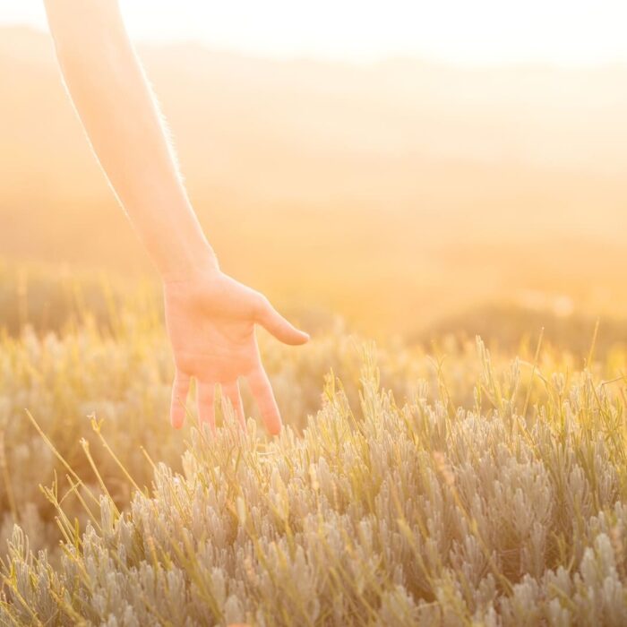 Bienfaits du jeûne en nature