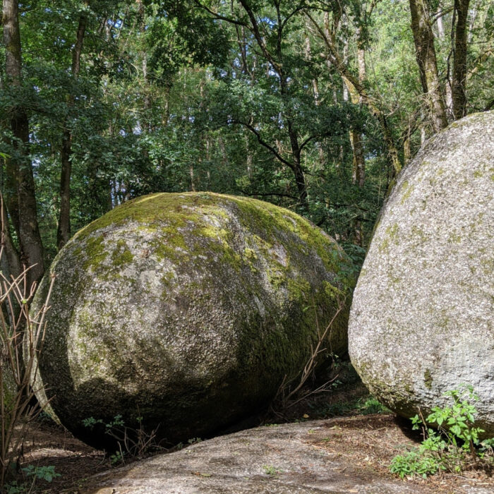 Gâtine Deux-Sèvres