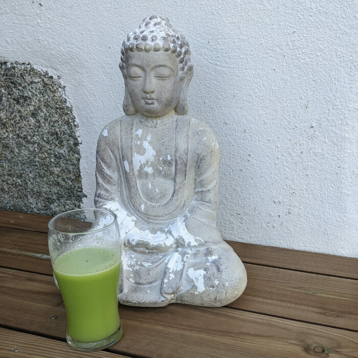 Jus vert stage de jeûne