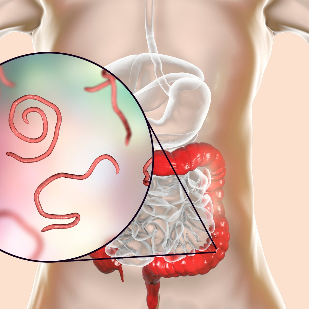 Naturopathie spécialisée digestion
