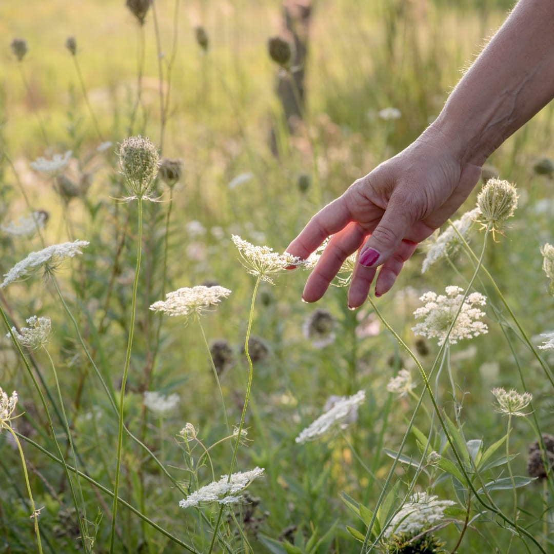 Pause nature