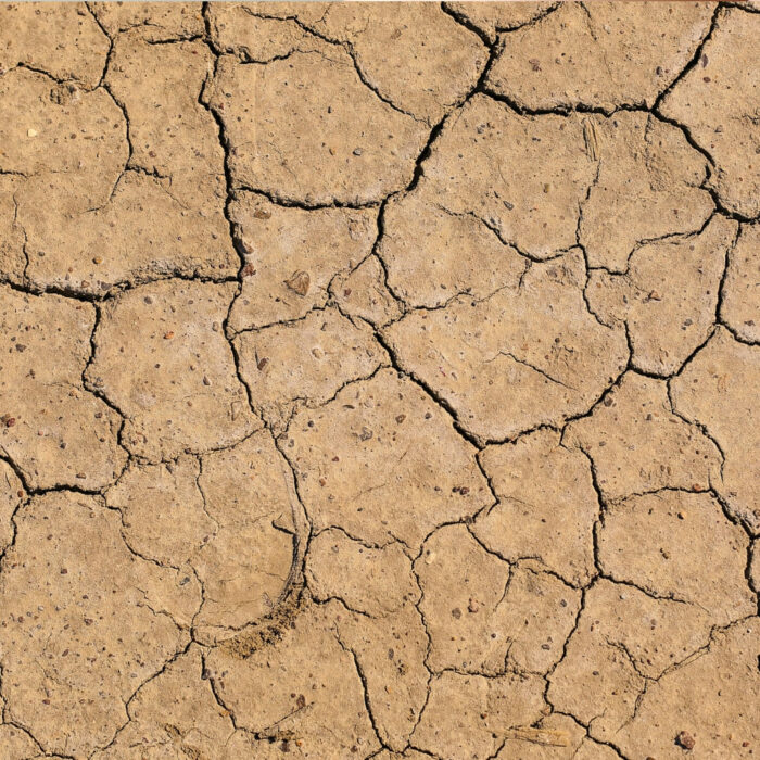 Jeûne sec en sécurité