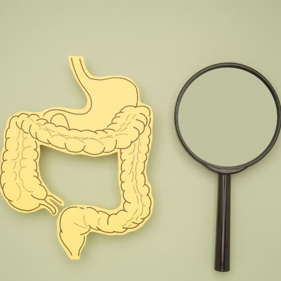 Porosité intestinale à la loupe