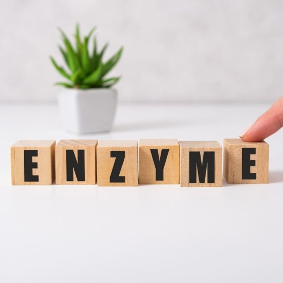 Enzyme digestive