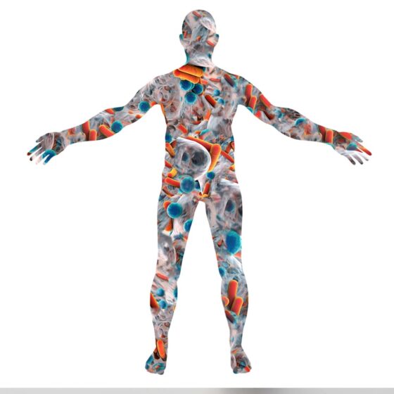 Microbiote intestinal humain