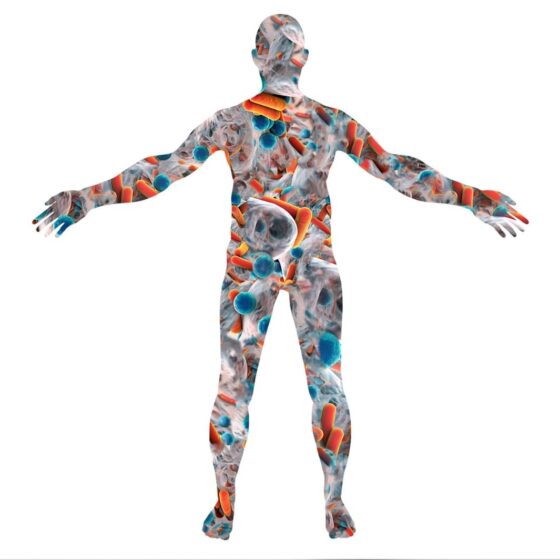 Microbiote intestinal humain